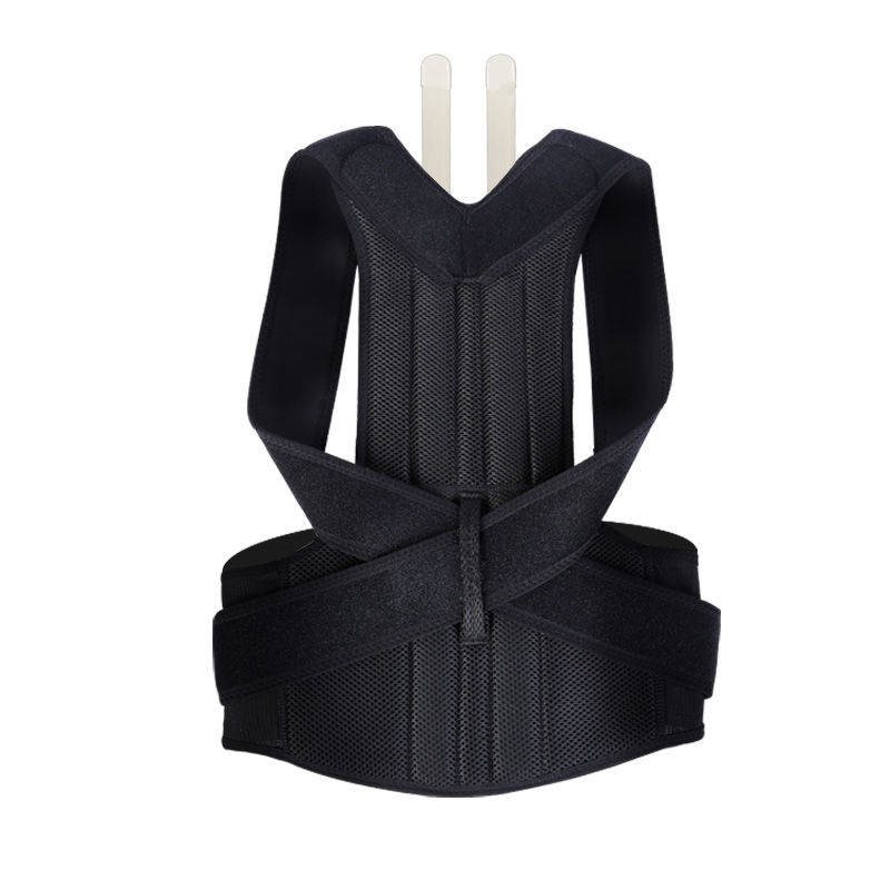 Back brace and supporter