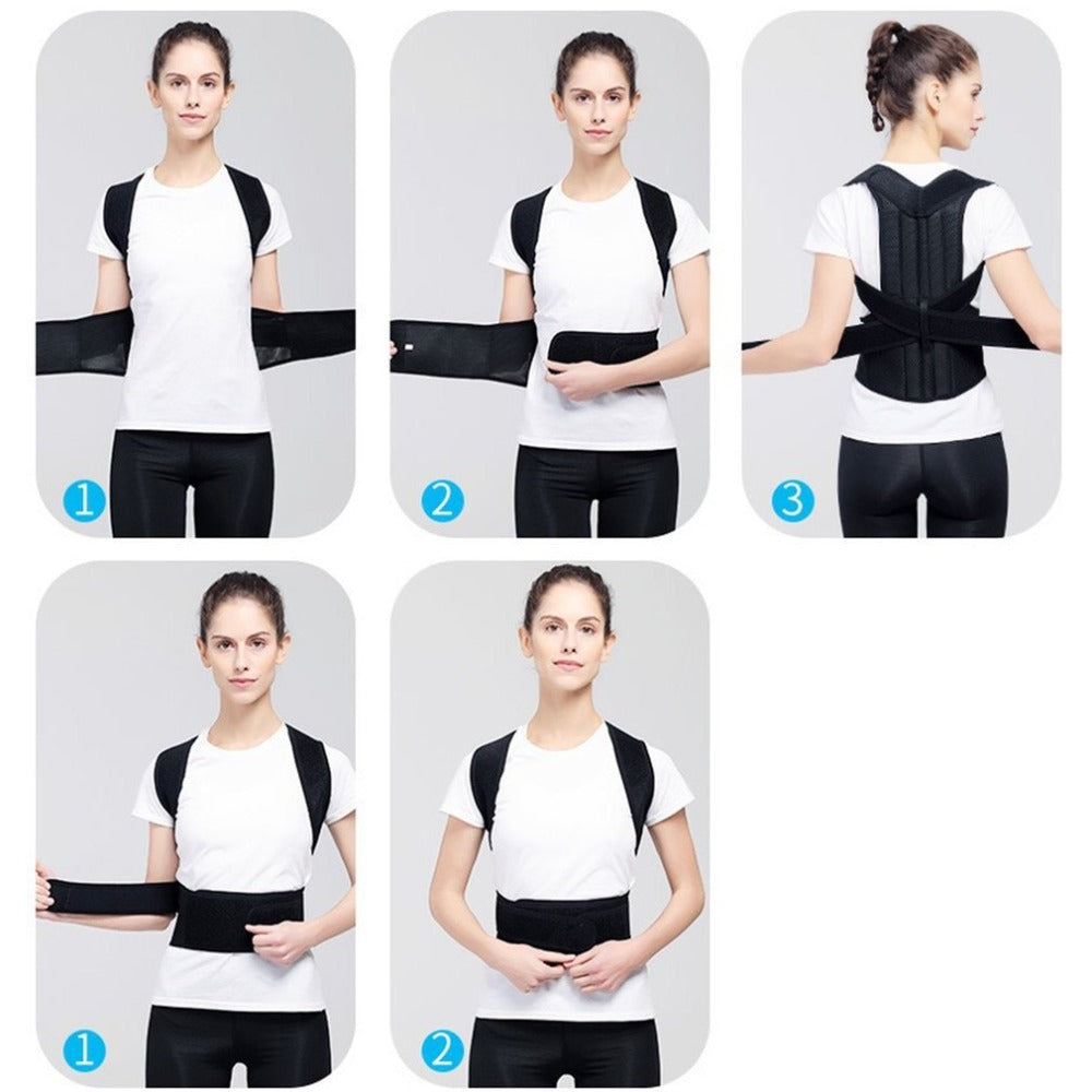 Back brace and supporter