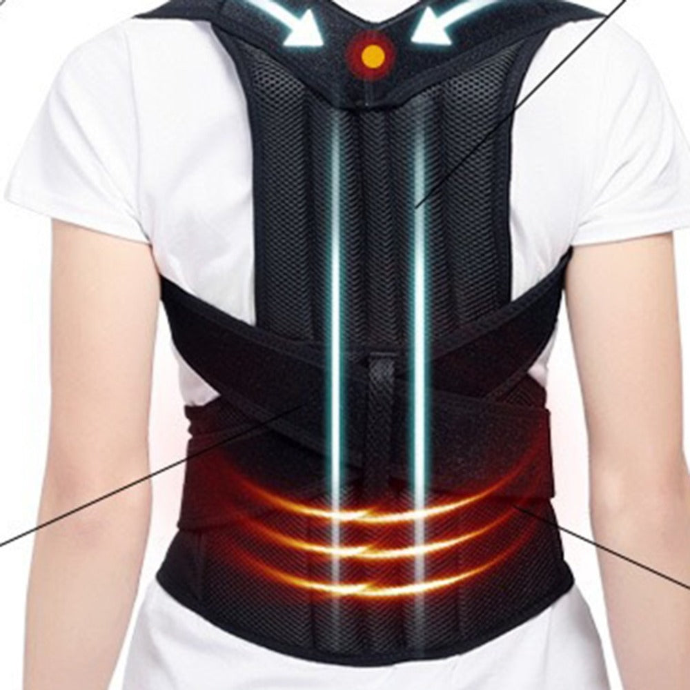 Back brace and supporter