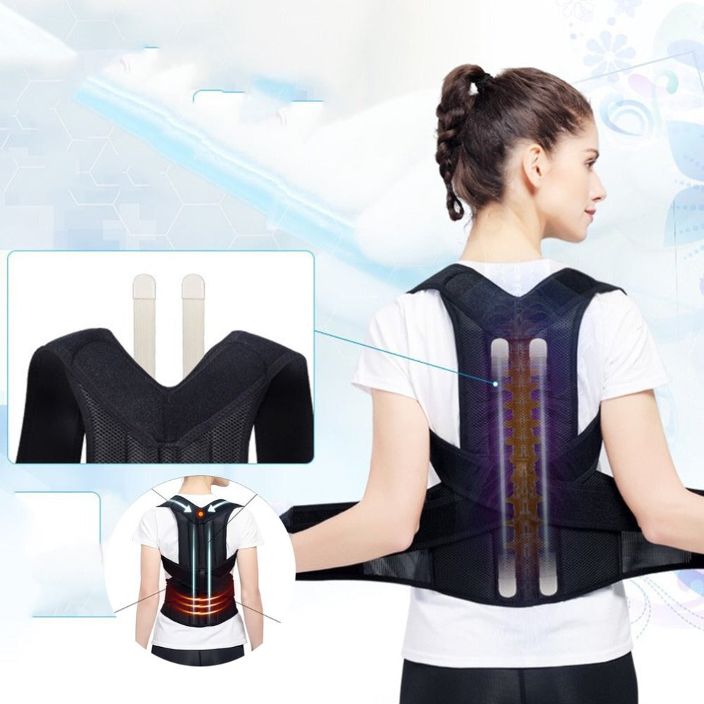 Back brace and supporter